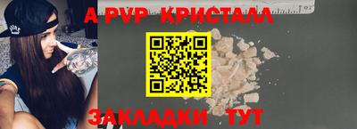 дмт Кингисепп