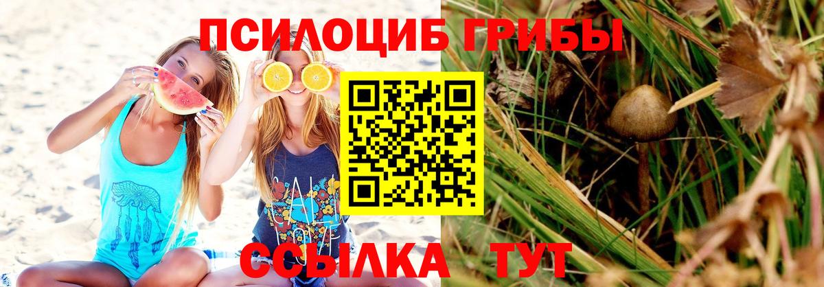 Псилоцибиновые грибы ЛСД  Псилоцибиновые грибы Psilocybine cubensis  Коломна  Вход с VPN 