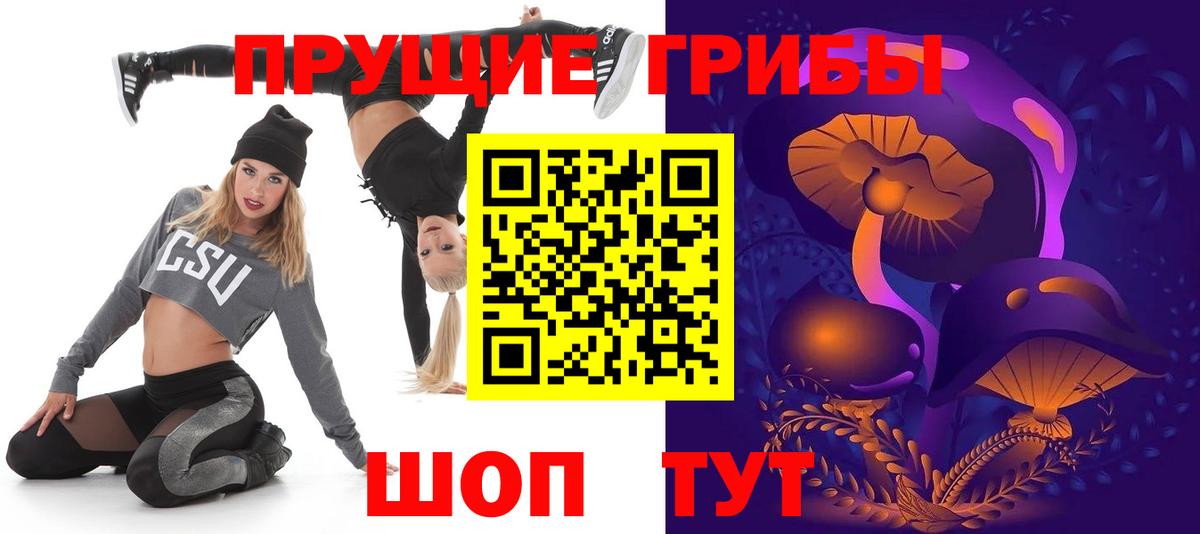 Галлюциногенные грибы Psilocybine cubensis Коломна